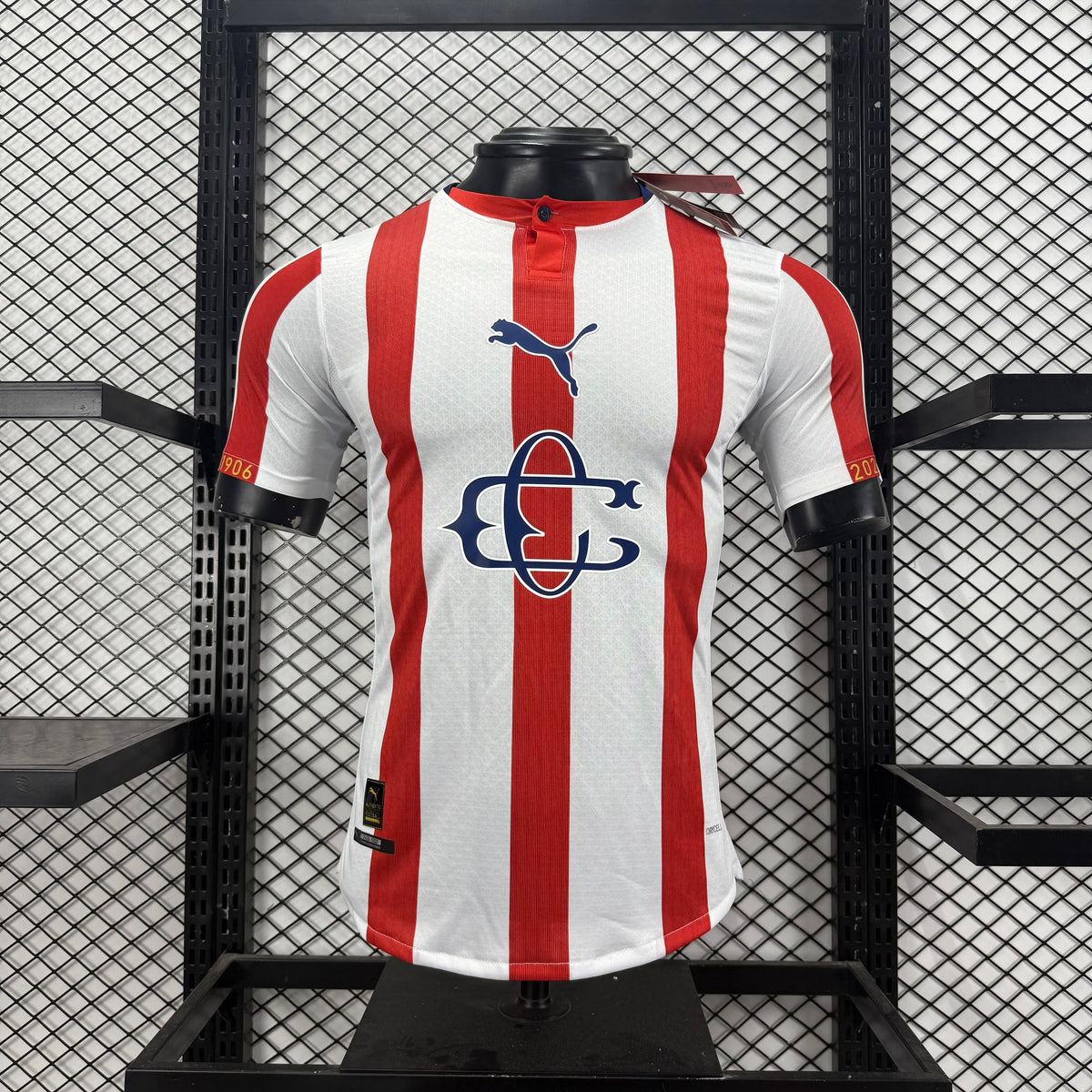 CD Guadalajara 2627 Chivas 120th Anniversary Edition player jersey S-4XL11