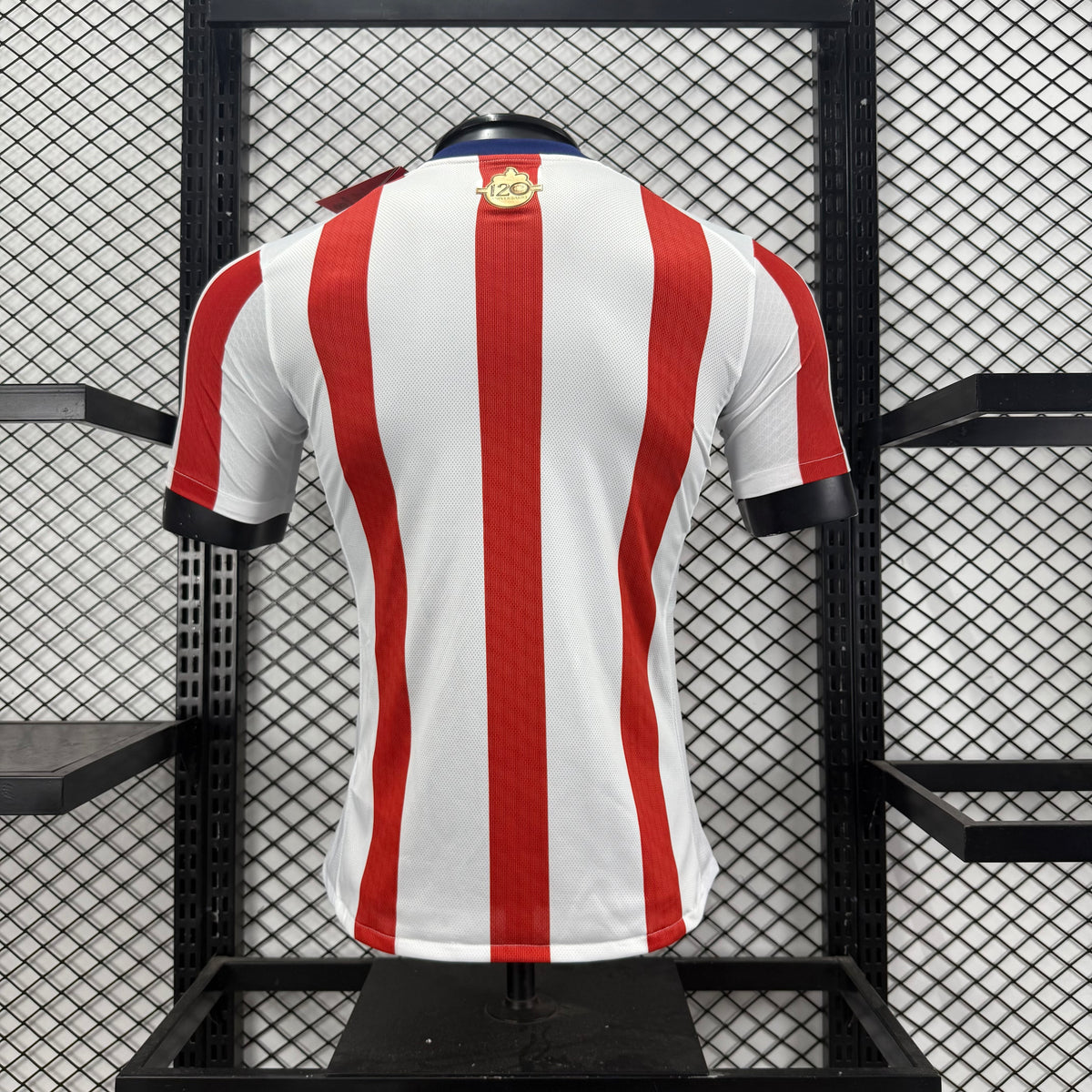 CD Guadalajara 2627 Chivas 120th Anniversary Edition player jersey S-4XL11