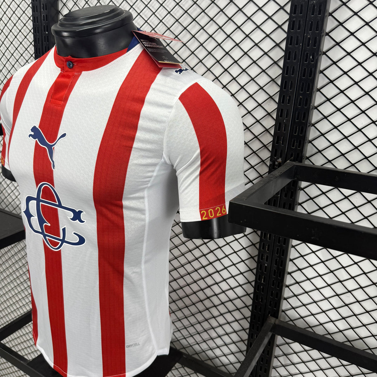 CD Guadalajara 2627 Chivas 120th Anniversary Edition player jersey S-4XL11